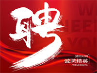 项目经理